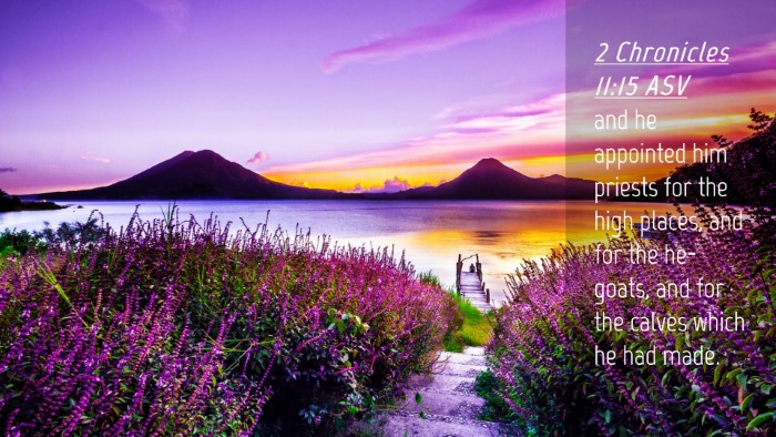 Picture 04 - 2 Chronicles 11:15 ASV Desktop Wallpaper - and he appointed him priests for the high places, - Desktop Bible Verse Wallpaper
