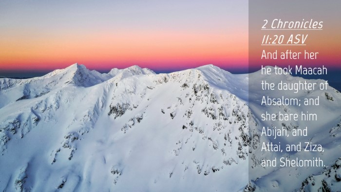 Picture 04 - 2 Chronicles 11:20 ASV Desktop Wallpaper - And after her he took Maacah the daughter of - Desktop Bible Verse Wallpaper