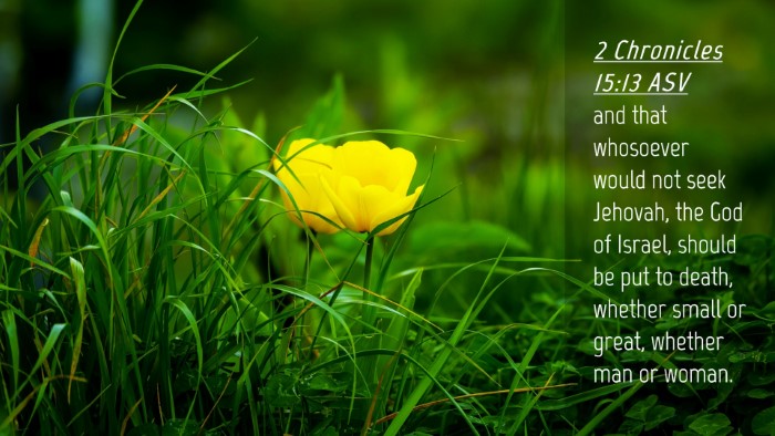 Picture 04 - 2 Chronicles 15:13 ASV Desktop Wallpaper - and that whosoever would not seek Jehovah, the - Desktop Bible Verse Wallpaper