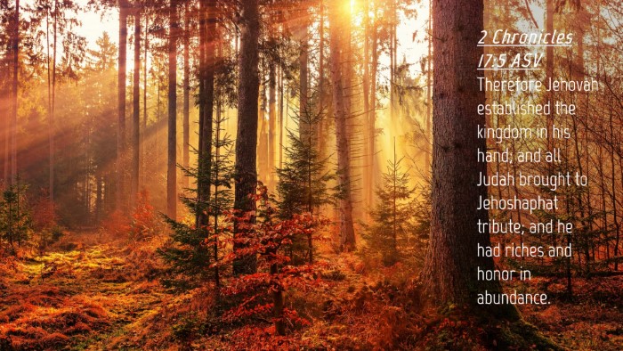 Picture 04 - 2 Chronicles 17:5 ASV Desktop Wallpaper - Therefore Jehovah established the kingdom in his - Desktop Bible Verse Wallpaper