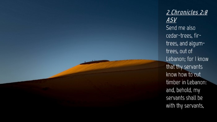 Picture 04 - 2 Chronicles 2:8 ASV Desktop Wallpaper - Send me also cedar-trees, fir-trees, and - Desktop Bible Verse Wallpaper