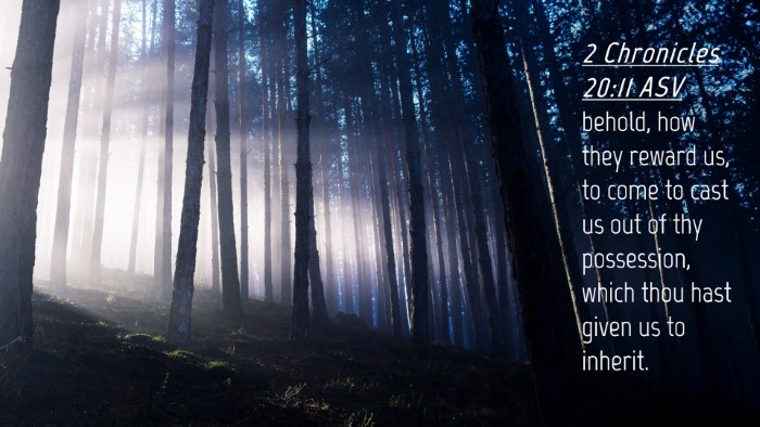 Picture 04 - 2 Chronicles 20:11 ASV Desktop Wallpaper - behold, how they reward us, to come to cast us - Desktop Bible Verse Wallpaper