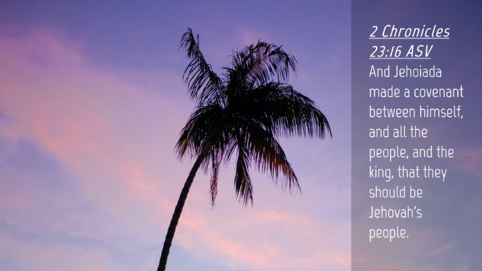 Picture 04 - 2 Chronicles 23:16 ASV Desktop Wallpaper - And Jehoiada made a covenant between himself, and - Desktop Bible Verse Wallpaper