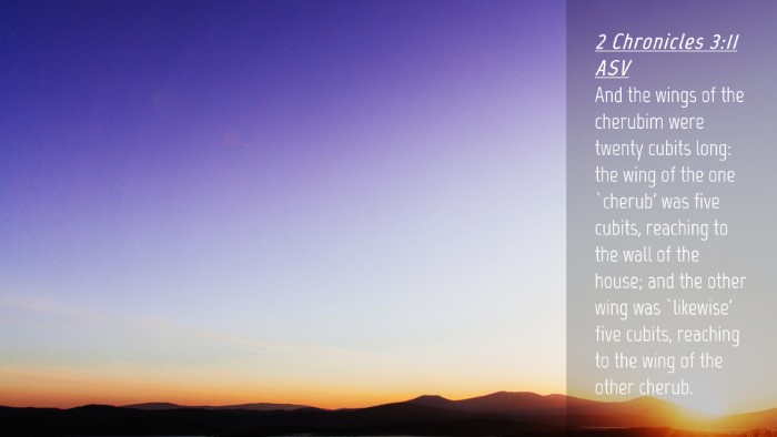 Picture 04 - 2 Chronicles 3:11 ASV Desktop Wallpaper - And the wings of the cherubim were twenty cubits - Desktop Bible Verse Wallpaper