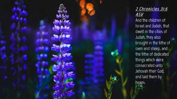 Picture 04 - 2 Chronicles 31:6 ASV Desktop Wallpaper - And the children of Israel and Judah, that dwelt - Desktop Bible Verse Wallpaper