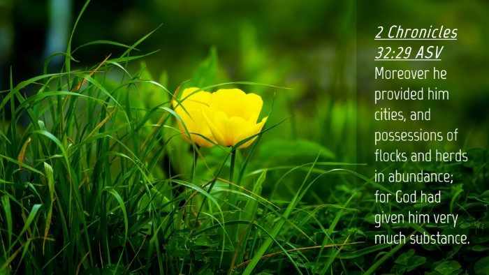 Picture 04 - 2 Chronicles 32:29 ASV Desktop Wallpaper - Moreover he provided him cities, and possessions - Desktop Bible Verse Wallpaper