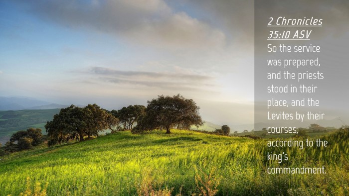 Picture 04 - 2 Chronicles 35:10 ASV Desktop Wallpaper - So the service was prepared, and the priests - Desktop Bible Verse Wallpaper