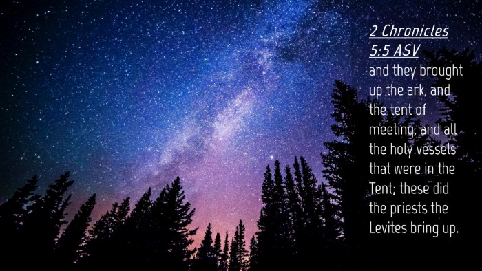Picture 04 - 2 Chronicles 5:5 ASV Desktop Wallpaper - and they brought up the ark, and the tent of - Desktop Bible Verse Wallpaper