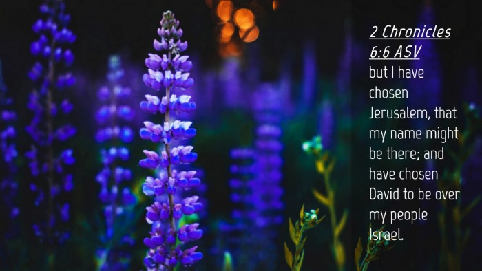 Picture 04 - 2 Chronicles 6:6 ASV Desktop Wallpaper - but I have chosen Jerusalem, that my name might - Desktop Bible Verse Wallpaper