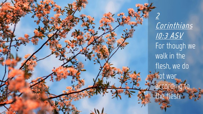 Picture 04 - 2 Corinthians 10:3 ASV Desktop Wallpaper - For though we walk in the flesh, we do not war - Desktop Bible Verse Wallpaper