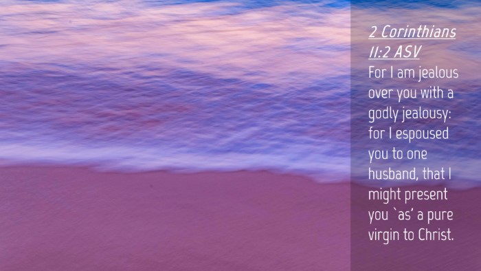 Picture 04 - 2 Corinthians 11:2 ASV Desktop Wallpaper - For I am jealous over you with a godly jealousy: - Desktop Bible Verse Wallpaper