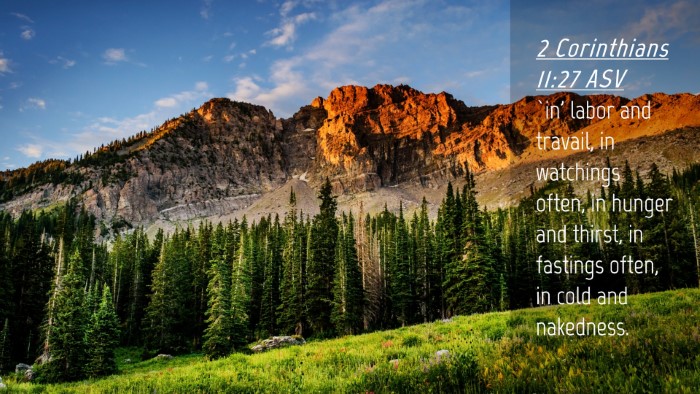 Picture 04 - 2 Corinthians 11:27 ASV Desktop Wallpaper - `in' labor and travail, in watchings often, in - Desktop Bible Verse Wallpaper