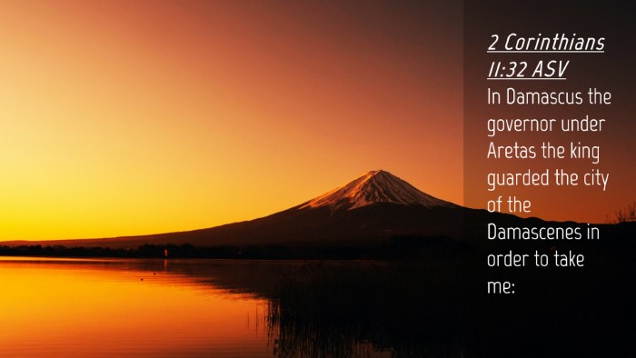Picture 04 - 2 Corinthians 11:32 ASV Desktop Wallpaper - In Damascus the governor under Aretas the king - Desktop Bible Verse Wallpaper