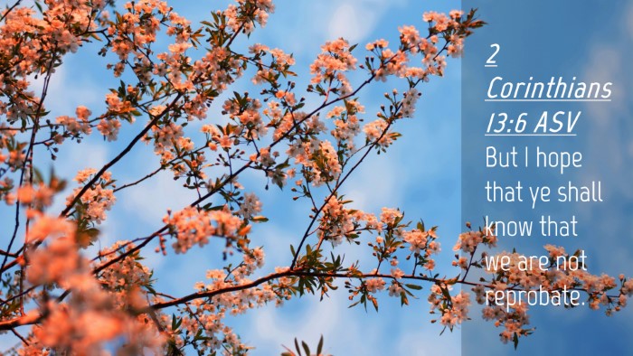 Picture 04 - 2 Corinthians 13:6 ASV Desktop Wallpaper - But I hope that ye shall know that we are not - Desktop Bible Verse Wallpaper
