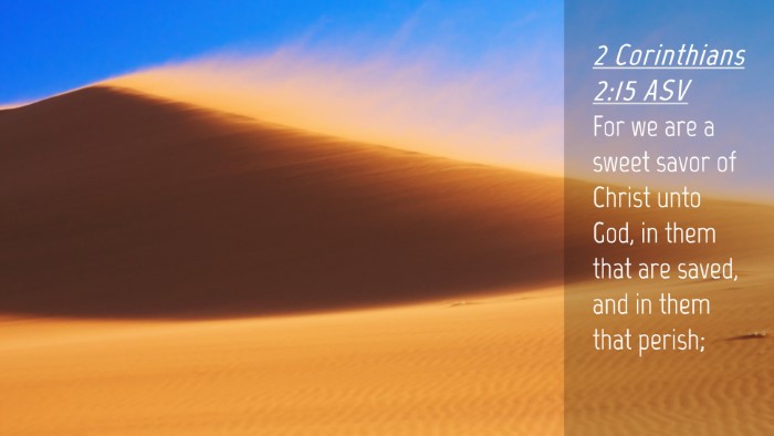 Picture 04 - 2 Corinthians 2:15 ASV Desktop Wallpaper - For we are a sweet savor of Christ unto God, in - Desktop Bible Verse Wallpaper