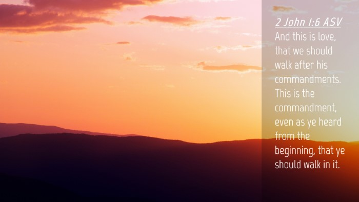 Picture 04 - 2 John 1:6 ASV Desktop Wallpaper - And this is love, that we should walk after his - Desktop Bible Verse Wallpaper