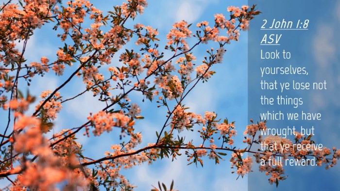 Picture 04 - 2 John 1:8 ASV Desktop Wallpaper - Look to yourselves, that ye lose not the things - Desktop Bible Verse Wallpaper