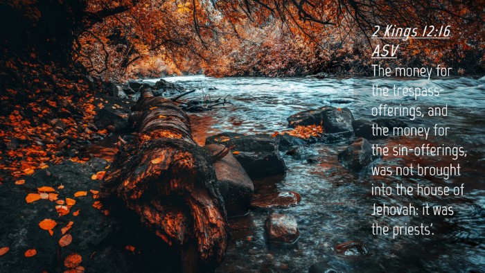 Picture 04 - 2 Kings 12:16 ASV Desktop Wallpaper - The money for the trespass-offerings, and the - Desktop Bible Verse Wallpaper