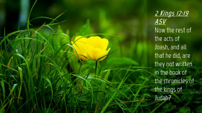 Picture 04 - 2 Kings 12:19 ASV Desktop Wallpaper - Now the rest of the acts of Joash, and all that - Desktop Bible Verse Wallpaper