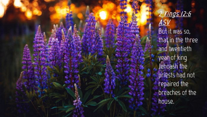 Picture 04 - 2 Kings 12:6 ASV Desktop Wallpaper - But it was so, that in the three and twentieth - Desktop Bible Verse Wallpaper