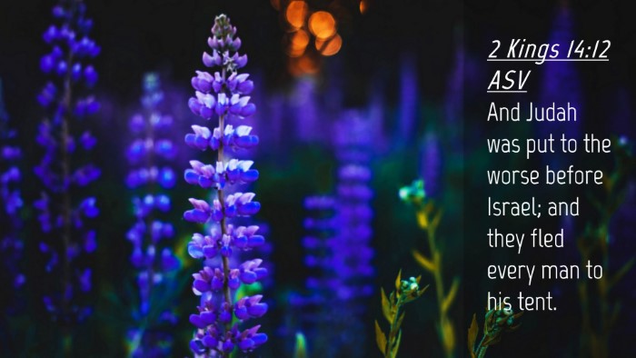 Picture 04 - 2 Kings 14:12 ASV Desktop Wallpaper - And Judah was put to the worse before Israel; and - Desktop Bible Verse Wallpaper