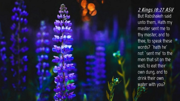 Picture 04 - 2 Kings 18:27 ASV Desktop Wallpaper - But Rabshakeh said unto them, Hath my master sent - Desktop Bible Verse Wallpaper