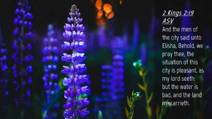 Picture 04 - 2 Kings 2:19 ASV Desktop Wallpaper - And the men of the city said unto Elisha, Behold, - Desktop Bible Verse Wallpaper