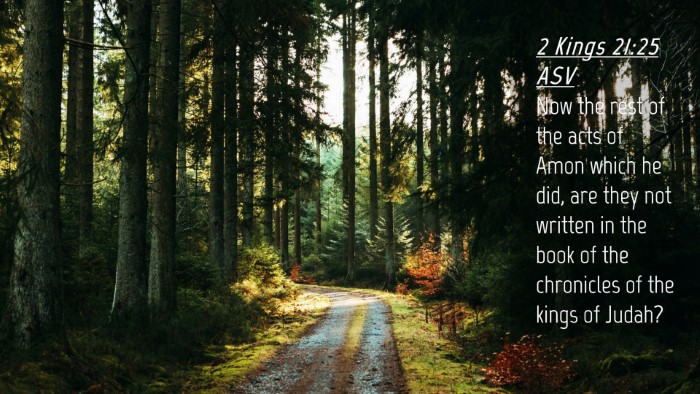 Picture 04 - 2 Kings 21:25 ASV Desktop Wallpaper - Now the rest of the acts of Amon which he did, - Desktop Bible Verse Wallpaper