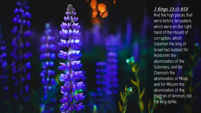 Picture 04 - 2 Kings 23:13 ASV Desktop Wallpaper - And the high places that were before Jerusalem, - Desktop Bible Verse Wallpaper