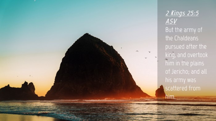 Picture 04 - 2 Kings 25:5 ASV Desktop Wallpaper - But the army of the Chaldeans pursued after the - Desktop Bible Verse Wallpaper