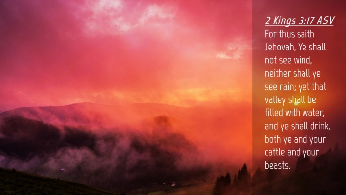 Picture 04 - 2 Kings 3:17 ASV Desktop Wallpaper - For thus saith Jehovah, Ye shall not see wind, - Desktop Bible Verse Wallpaper