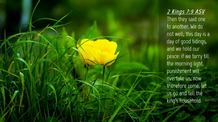 Picture 04 - 2 Kings 7:9 ASV Desktop Wallpaper - Then they said one to another, We do not well; - Desktop Bible Verse Wallpaper