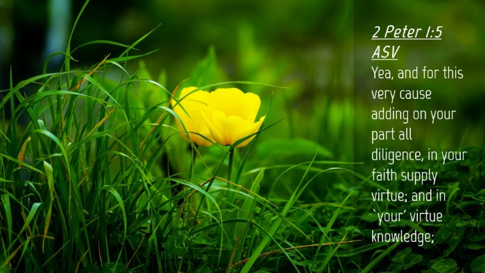 Picture 04 - 2 Peter 1:5 ASV Desktop Wallpaper - Yea, and for this very cause adding on your part - Desktop Bible Verse Wallpaper
