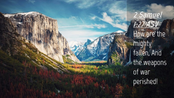 Picture 04 - 2 Samuel 1:27 ASV Desktop Wallpaper - How are the mighty fallen, And the weapons of war - Desktop Bible Verse Wallpaper