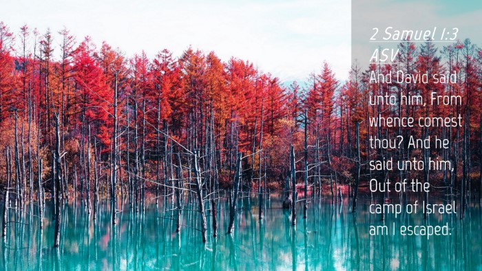 Picture 04 - 2 Samuel 1:3 ASV Desktop Wallpaper - And David said unto him, From whence comest thou? - Desktop Bible Verse Wallpaper