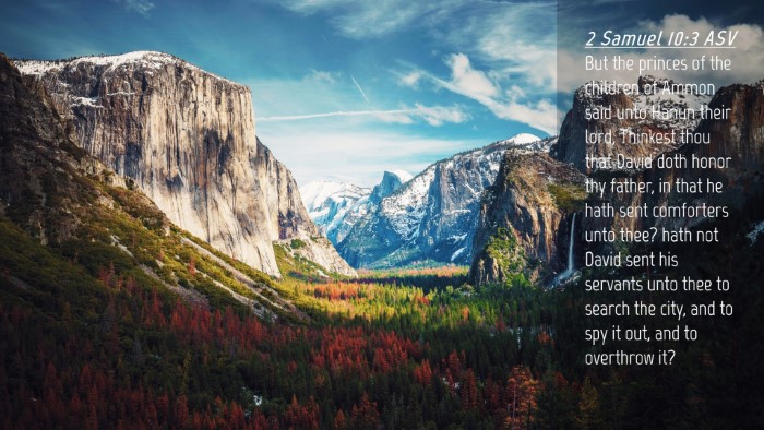 Picture 04 - 2 Samuel 10:3 ASV Desktop Wallpaper - But the princes of the children of Ammon said - Desktop Bible Verse Wallpaper