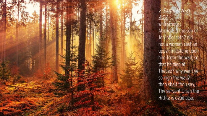 Picture 04 - 2 Samuel 11:21 ASV Desktop Wallpaper - who smote Abimelech the son of Jerubbesheth? did - Desktop Bible Verse Wallpaper
