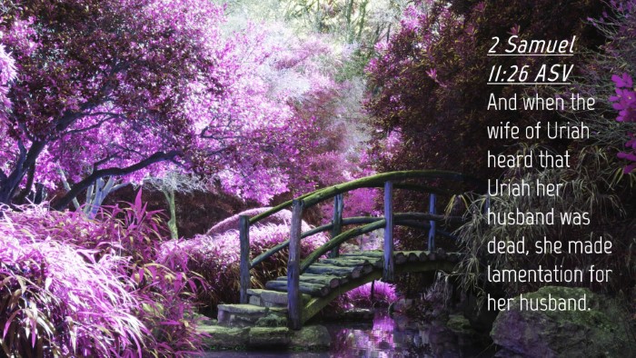 Picture 04 - 2 Samuel 11:26 ASV Desktop Wallpaper - And when the wife of Uriah heard that Uriah her - Desktop Bible Verse Wallpaper