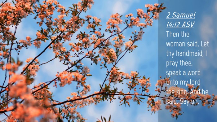 Picture 04 - 2 Samuel 14:12 ASV Desktop Wallpaper - Then the woman said, Let thy handmaid, I pray - Desktop Bible Verse Wallpaper
