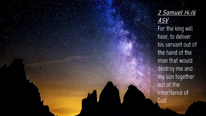 Picture 04 - 2 Samuel 14:16 ASV Desktop Wallpaper - For the king will hear, to deliver his servant - Desktop Bible Verse Wallpaper