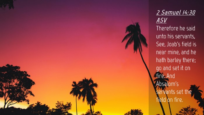 Picture 04 - 2 Samuel 14:30 ASV Desktop Wallpaper - Therefore he said unto his servants, See, Joab's - Desktop Bible Verse Wallpaper