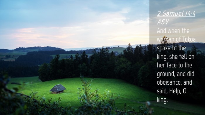 Picture 04 - 2 Samuel 14:4 ASV Desktop Wallpaper - And when the woman of Tekoa spake to the king, - Desktop Bible Verse Wallpaper