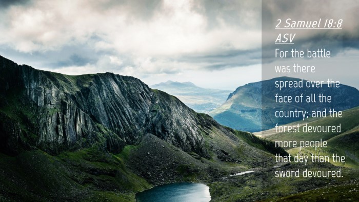 Picture 04 - 2 Samuel 18:8 ASV Desktop Wallpaper - For the battle was there spread over the face of - Desktop Bible Verse Wallpaper