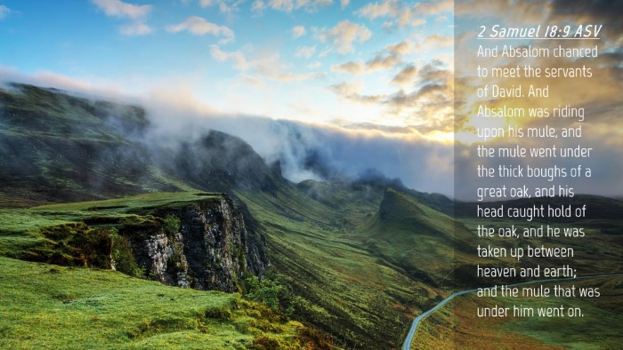 Picture 04 - 2 Samuel 18:9 ASV Desktop Wallpaper - And Absalom chanced to meet the servants of - Desktop Bible Verse Wallpaper