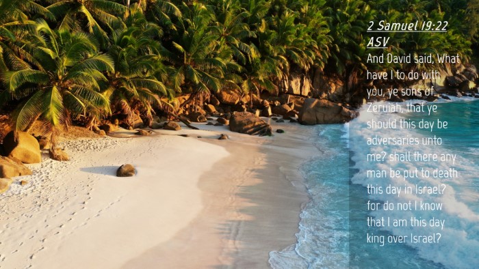 Picture 04 - 2 Samuel 19:22 ASV Desktop Wallpaper - And David said, What have I to do with you, ye - Desktop Bible Verse Wallpaper