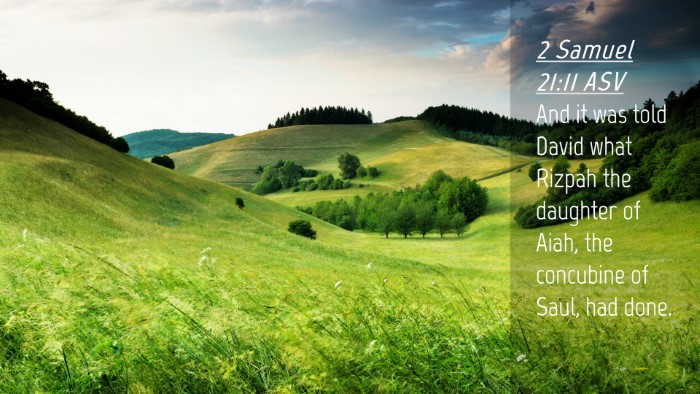 Picture 04 - 2 Samuel 21:11 ASV Desktop Wallpaper - And it was told David what Rizpah the daughter of - Desktop Bible Verse Wallpaper
