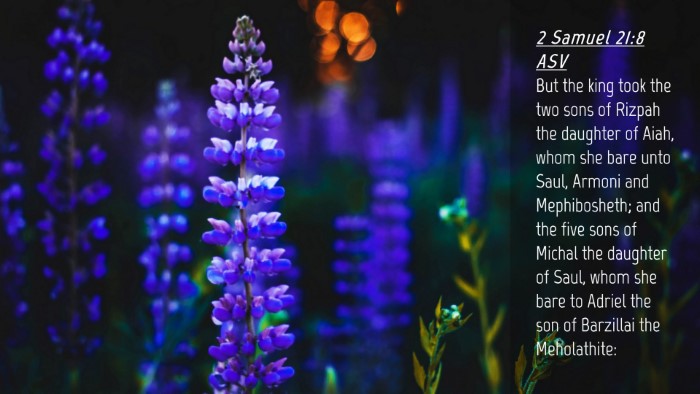 Picture 04 - 2 Samuel 21:8 ASV Desktop Wallpaper - But the king took the two sons of Rizpah the - Desktop Bible Verse Wallpaper
