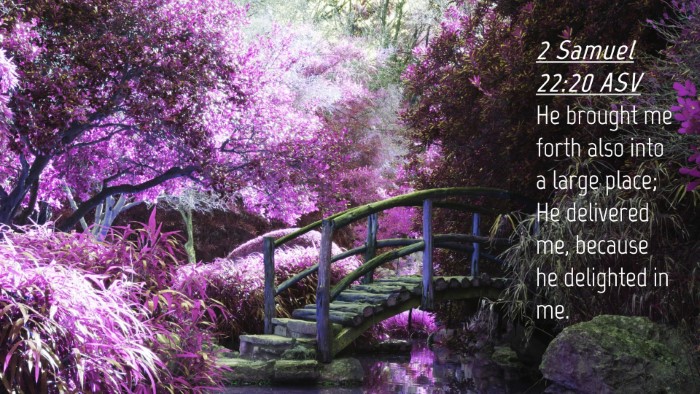 Picture 04 - 2 Samuel 22:20 ASV Desktop Wallpaper - He brought me forth also into a large place; He - Desktop Bible Verse Wallpaper