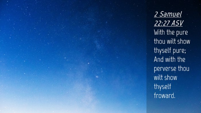 Picture 04 - 2 Samuel 22:27 ASV Desktop Wallpaper - With the pure thou wilt show thyself pure; And - Desktop Bible Verse Wallpaper