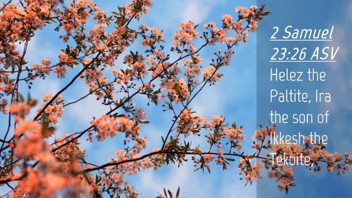 Picture 04 - 2 Samuel 23:26 ASV Desktop Wallpaper - Helez the Paltite, Ira the son of Ikkesh the - Desktop Bible Verse Wallpaper